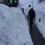 16174501_398581083808453_1022832142928819951_n-20170125-110247