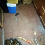 23192378_10155494784270804_1534784859_o-20171102-214625