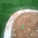 I giardini sporchi