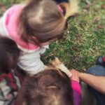 53245248_1150592838449495_1909392333514735616_n-20190307-160311