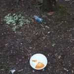 62505986_2285743708181597_2474943804461809664_n-20190615-145855