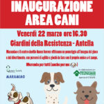 AREACANI-20190319-112541