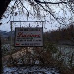 Ardian Gjurai Lucciano San Casciano