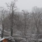 Benedetta Del Lungo San Casciano