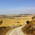 Campi di grano… infiniti