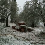 Lucia Targonato Colle d’Agnola San Casciano