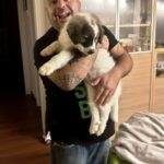 CuccioloAdottatoTavarnelle1-20181104-205714