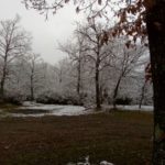 Emanuele-Farsetti_Dudda1-20180226-094302