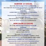 FestaVolontariatoGreve-20150718-160405