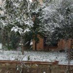 Gabry Romiti Mercatale sotto Montecampolesi San Casciano