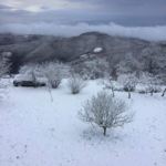 Da 3 km sopra Gaiole… con vista Siena. In teoria… foto inviata da Filippo Pieralli