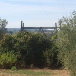 IMG_4016-20160904-102823