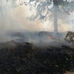 IMG_9928-20170819-194351