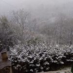 Gabriele Corsi Gaiole in Chianti