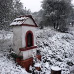 Massimo Giobbole Greve in Chianti