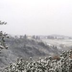 Miriam Monsanto Barberino Val d’Elsa