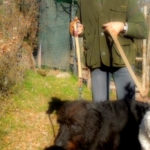 Nerone adottato da una coppia irlandese