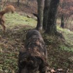 PHOTO-2018-12-28-14-29-38-20181228-153312