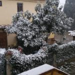 Paola Taini Trecento Montespertoli