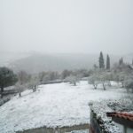 Piero Fedi Strada in Chianti