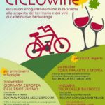 ciclowine-20151028-101644