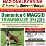 expo2018-20180504-105037