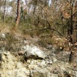 frana-002-20170210-093852