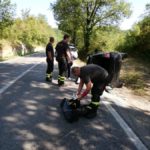 imprunertaincidenteviaferrone28.8.2018_4-20180828-175839