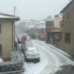 Ombretta Piccioli