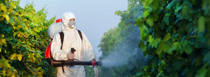pesticidi-20151001-154304