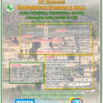 VolBarberinoScendiSali2017