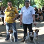 15esposizionenazionalecaninaparcolabotte21.6.2015_26-20150625-105228