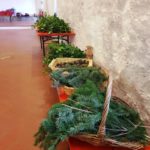 20191215_154725-20191223-111443