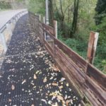 73002704_1401721970005587_4346706555106754560_n-20191125-183311