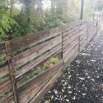 78883023_431193384221669_1153838261081210880_n-20191125-183321