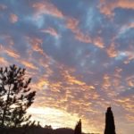 AlessandraConterio-20200101-113621