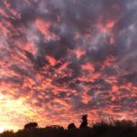 AntoniettaDiLorenzo-20200101-092344