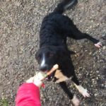 Brina-20200124-102116