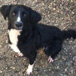 Brina1-20200124-102112