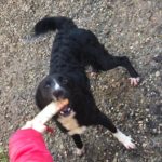 Brina2-20200124-102119