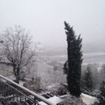 ChristianeFigue_Dudda-20150206-092626