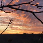 CristinaTanziSantAngelo1-20200101-092432