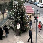 SONY DSC