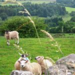 DSCN4052-20130903-181604