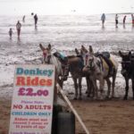 DSCN4262-20130731-181658