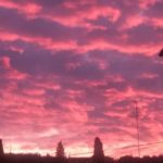 DanielaFrisullo-20200101-200546