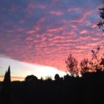 ElisabettaCiotti3-20150103-094516