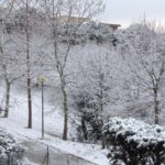 ElisabettaCiotti_SanCasciano-20130223-151451