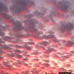 FelicettaTrinchera-20200104-183215