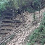 FranaAutopalio-20191117-104158